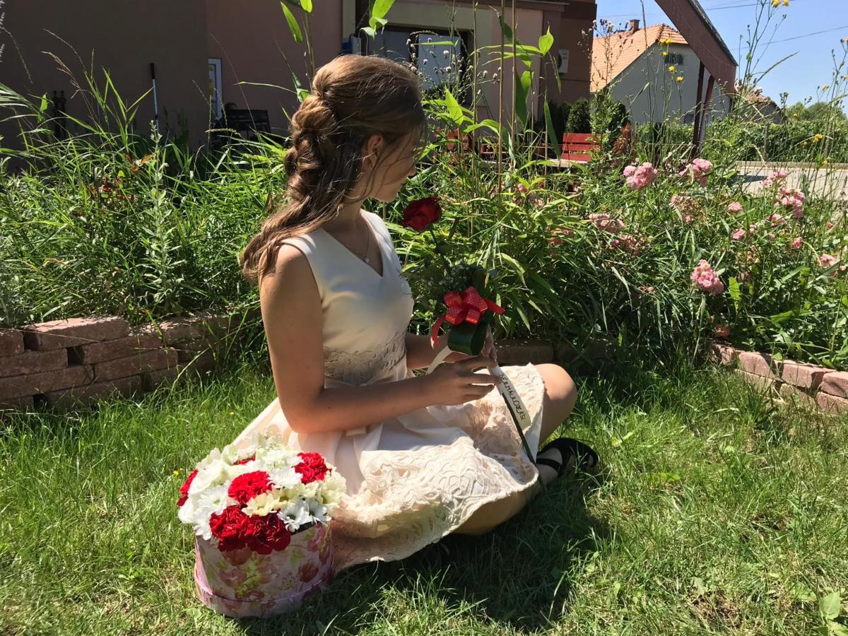 Korona Panzio Bed & Breakfast Blh nad Iplom Dış mekan fotoğraf